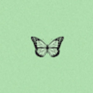 Meet your Posher, Mackenzie